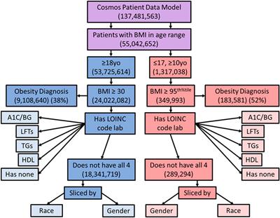 Phenotypic prevalence of obesity and metabolic syndrome among an underdiagnosed and underscreened population of over 50 million children and adults